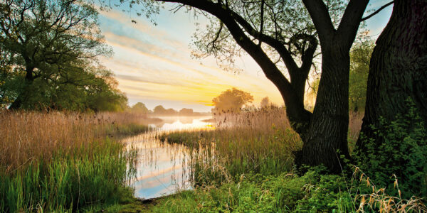 Seeenlandschaft in Morgenstimmung im Kuehnauer Park